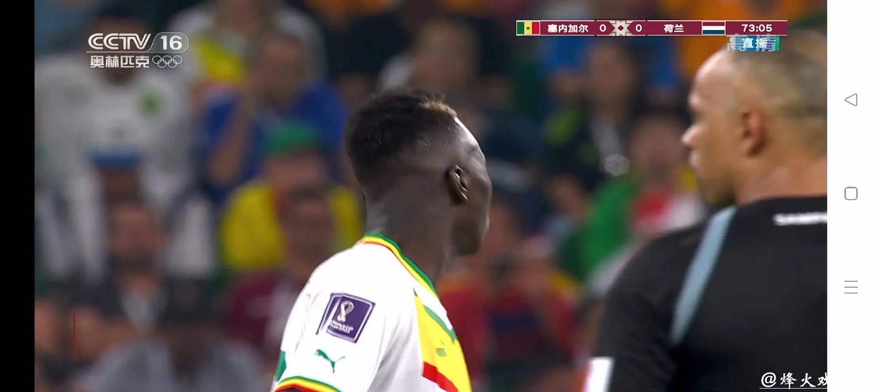 观看世界杯比赛直播的最佳渠道